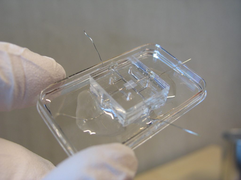 Een organ-on-a-chip
