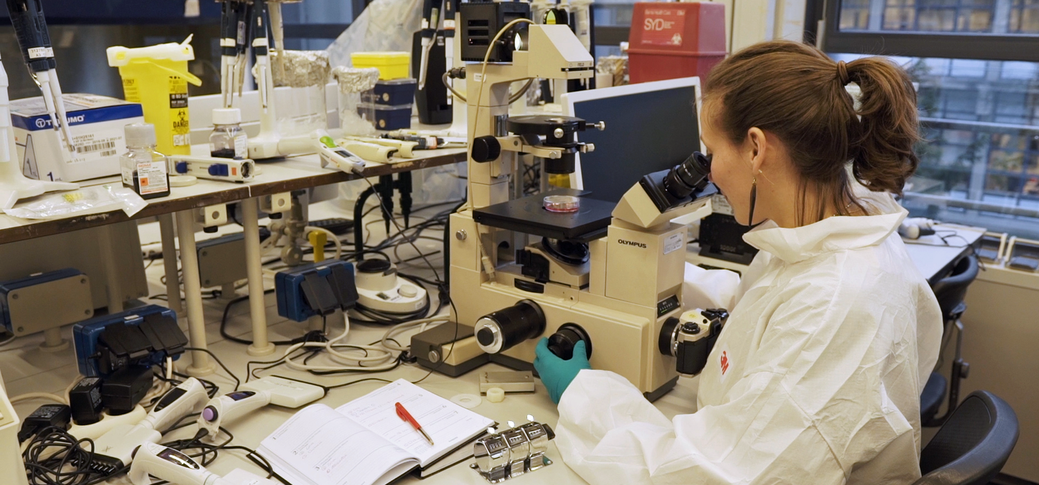 Proefdierenonderzoek verleden, heden en toekomst Proefdiervrij