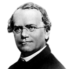 Portret Gregor Mendel