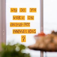Why do you work on animal-free innovations