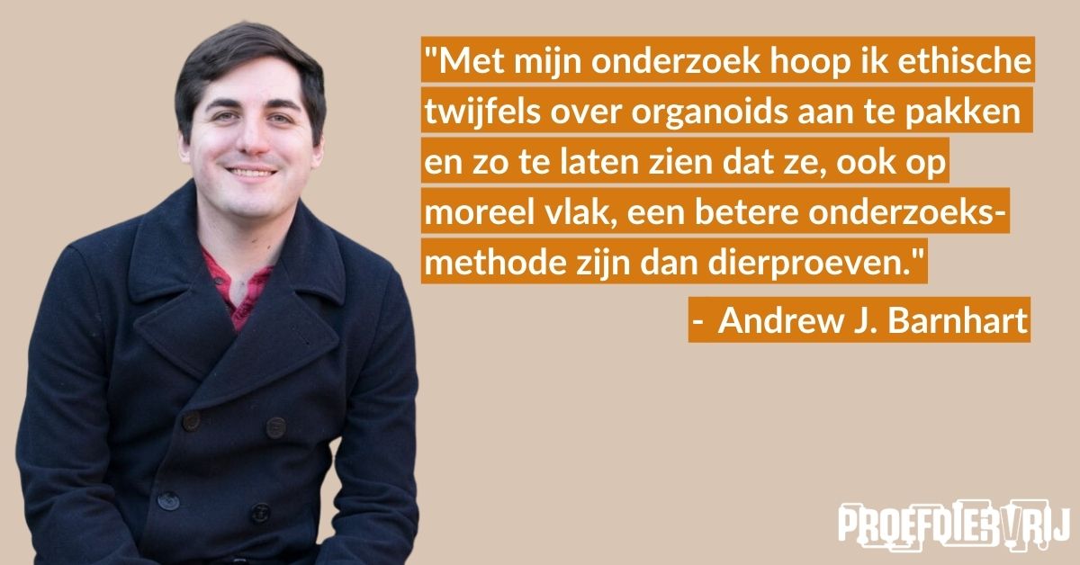 Andrew best sale j overhemden