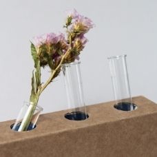 lab bloemen wetenschap naik lonsain