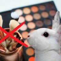 cosmetica konijn