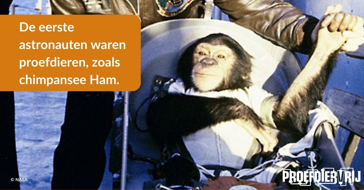 Dieren in de ruimte: de eerste astronauten waren proefdieren