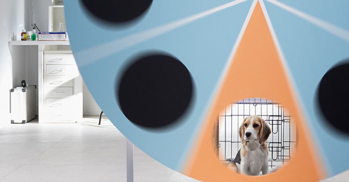 Beagle puppy in een kooi - achter een ronddraaiend rad