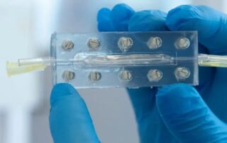 Blauwe laboratoriumhandschoen die een organoid vasthoudt.