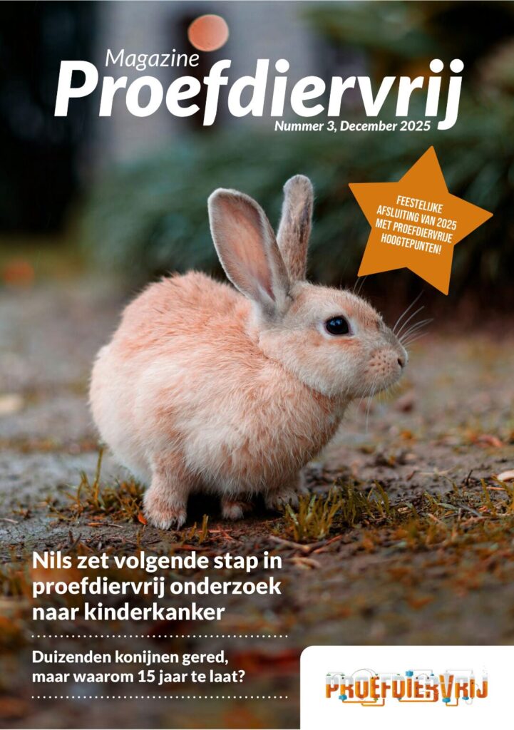 Konijn op de voorkant van het magazine van proefdiervrij, de editie van december 2025.
