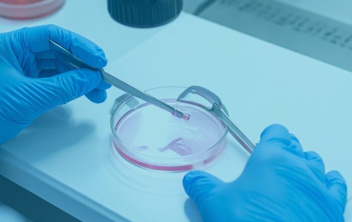 Cellen in een schaaltje