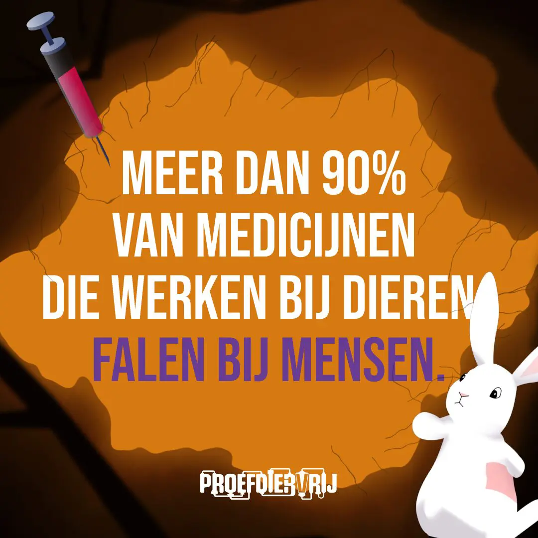 Sommige gewoontes zijn zo vanzelfsprekend dat ze zelden opnieuw worden bevraagd of doorgerekend. Dierproeven zijn er één van. Maar de wetenschap staat op een kantelpunt. Moderne technologie maakt onderzoek nauwkeuriger én humaner voor dier en mens. Het is tijd voor meer menselijkheid. 🐇 Ontdek waarom de toekomst proefdiervrij is.