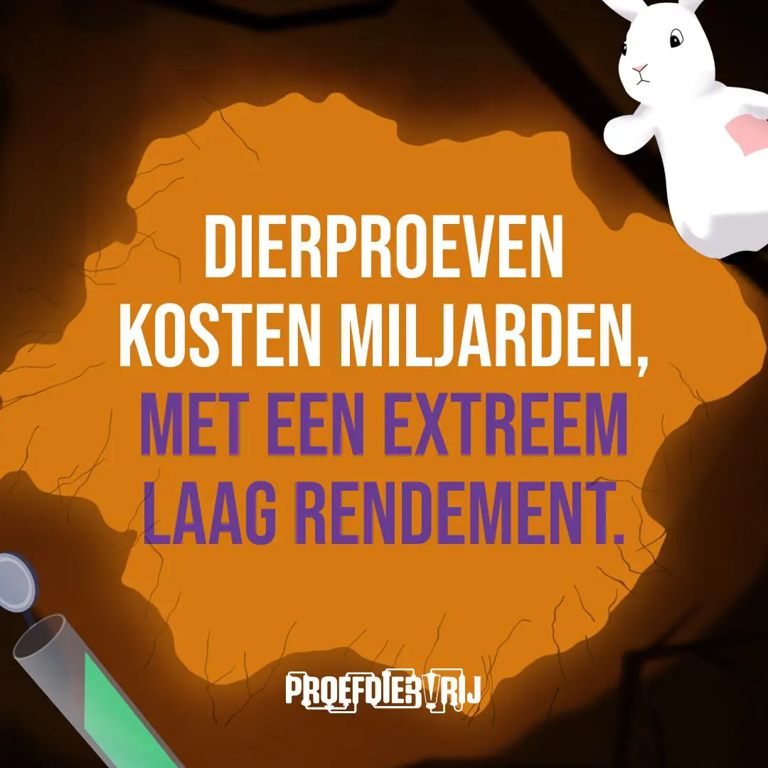 Sommige gewoontes zijn zo vanzelfsprekend dat ze zelden opnieuw worden bevraagd of doorgerekend. Dierproeven zijn er één van. Maar de wetenschap staat op een kantelpunt. Moderne technologie maakt onderzoek nauwkeuriger én humaner voor dier en mens. Het is tijd voor meer menselijkheid. 🐇 Ontdek waarom de toekomst proefdiervrij is.