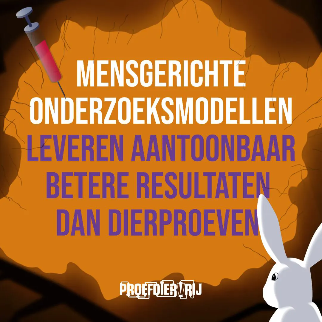 Sommige gewoontes zijn zo vanzelfsprekend dat ze zelden opnieuw worden bevraagd of doorgerekend. Dierproeven zijn er één van. Maar de wetenschap staat op een kantelpunt. Moderne technologie maakt onderzoek nauwkeuriger én humaner voor dier en mens. Het is tijd voor meer menselijkheid. 🐇 Ontdek waarom de toekomst proefdiervrij is.