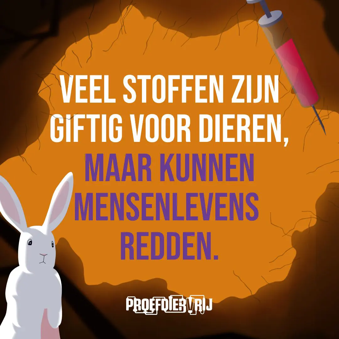 Sommige gewoontes zijn zo vanzelfsprekend dat ze zelden opnieuw worden bevraagd of doorgerekend. Dierproeven zijn er één van. Maar de wetenschap staat op een kantelpunt. Moderne technologie maakt onderzoek nauwkeuriger én humaner voor dier en mens. Het is tijd voor meer menselijkheid. 🐇 Ontdek waarom de toekomst proefdiervrij is.