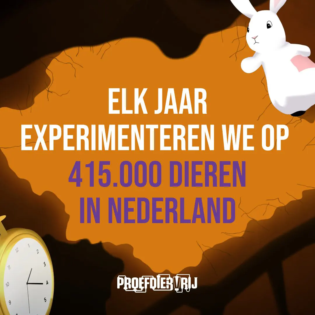 Sommige gewoontes zijn zo vanzelfsprekend dat ze zelden opnieuw worden bevraagd of doorgerekend. Dierproeven zijn er één van. Maar de wetenschap staat op een kantelpunt. Moderne technologie maakt onderzoek nauwkeuriger én humaner voor dier en mens. Het is tijd voor meer menselijkheid. 🐇 Ontdek waarom de toekomst proefdiervrij is.