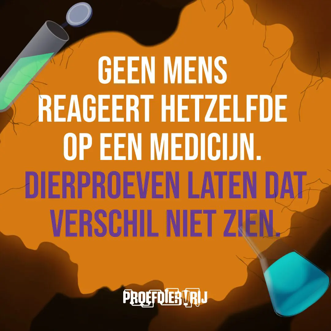 Sommige gewoontes zijn zo vanzelfsprekend dat ze zelden opnieuw worden bevraagd of doorgerekend. Dierproeven zijn er één van. Maar de wetenschap staat op een kantelpunt. Moderne technologie maakt onderzoek nauwkeuriger én humaner voor dier en mens. Het is tijd voor meer menselijkheid. 🐇 Ontdek waarom de toekomst proefdiervrij is.