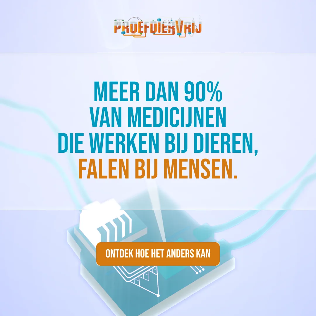 Sommige gewoontes zijn zo vanzelfsprekend dat ze zelden opnieuw worden bevraagd of doorgerekend. Dierproeven zijn er één van. Maar de wetenschap staat op een kantelpunt. Moderne technologie maakt onderzoek nauwkeuriger én humaner voor dier en mens. Het is tijd voor meer menselijkheid. 🐇 Ontdek waarom de toekomst proefdiervrij is.