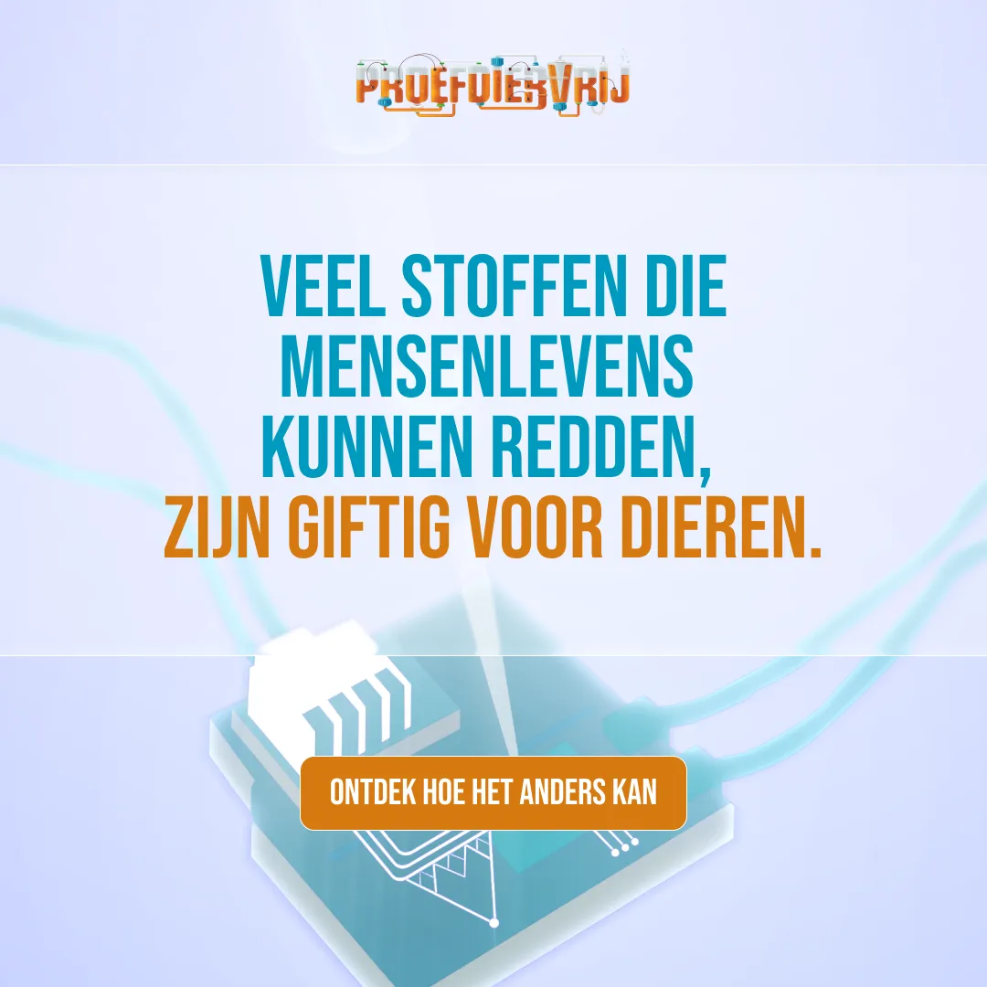 Sommige gewoontes zijn zo vanzelfsprekend dat ze zelden opnieuw worden bevraagd of doorgerekend. Dierproeven zijn er één van. Maar de wetenschap staat op een kantelpunt. Moderne technologie maakt onderzoek nauwkeuriger én humaner voor dier en mens. Het is tijd voor meer menselijkheid. 🐇 Ontdek waarom de toekomst proefdiervrij is.
