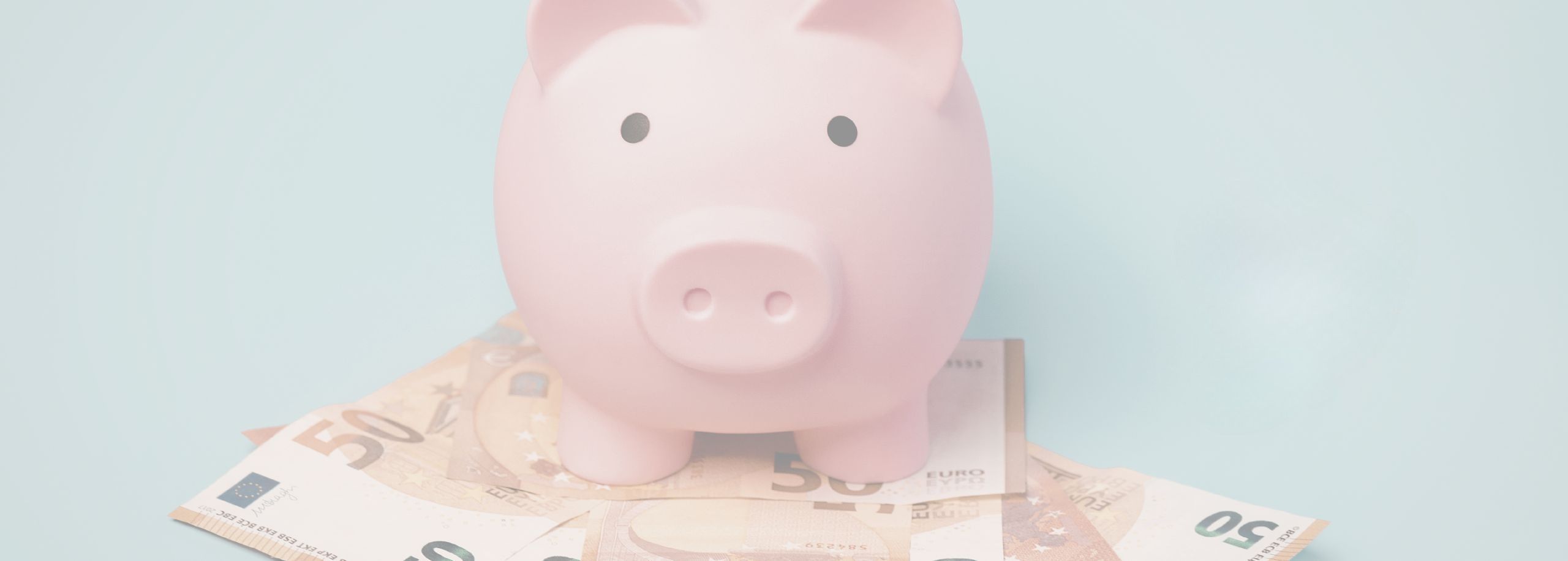 spaarvarken op briefjes van 50 euro