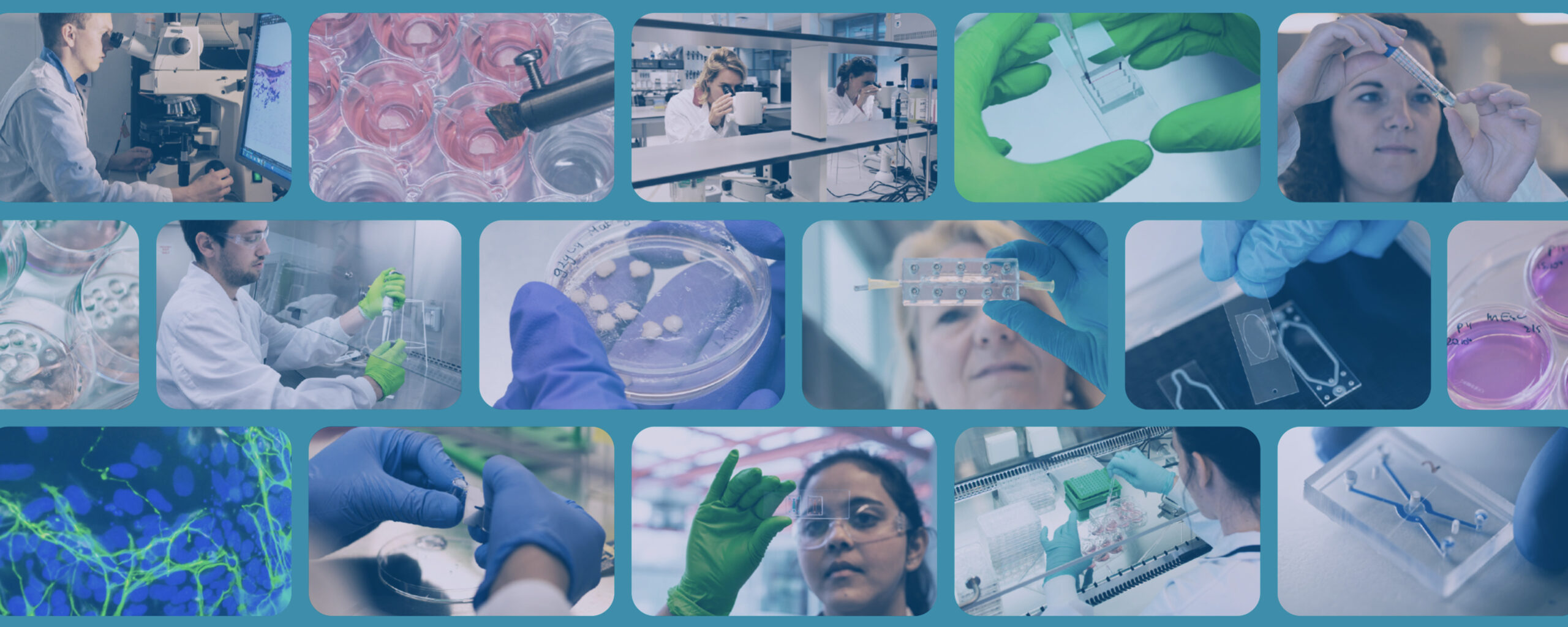 proefdiervrije innovaties