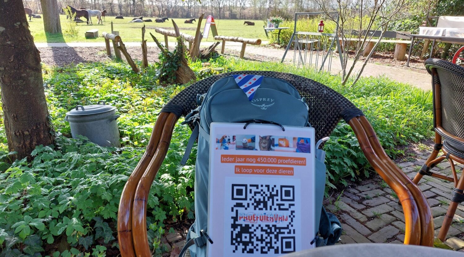 sonja's tas op een stoel