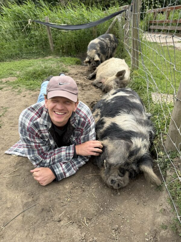 Mart met varkens Mart met varkens
