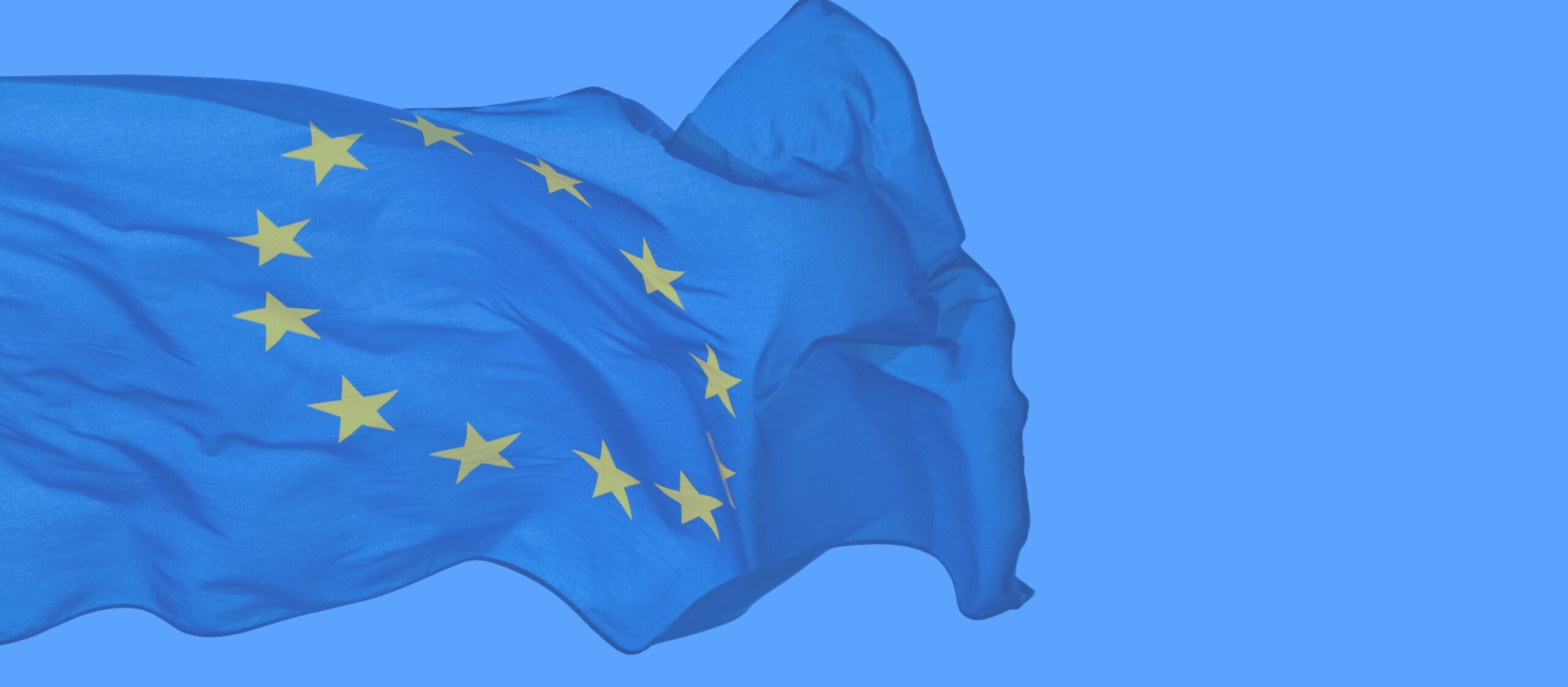 EU vlag