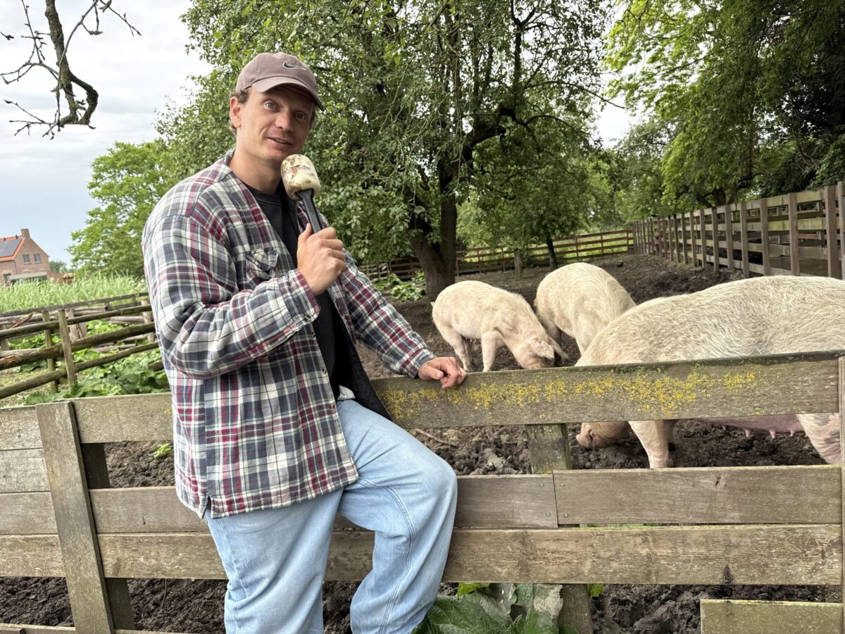 mart met microfoon bij varkens mart met microfoon bij varkens