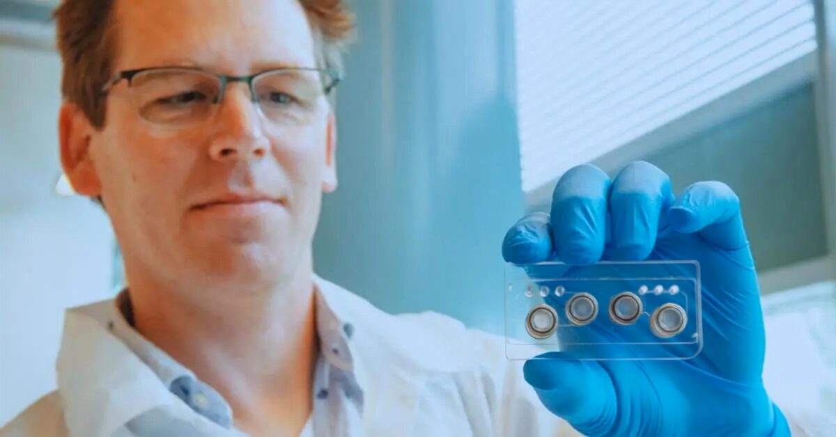 Multi-organ-on-a-chip