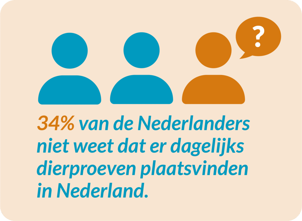 p11_blok_34procent